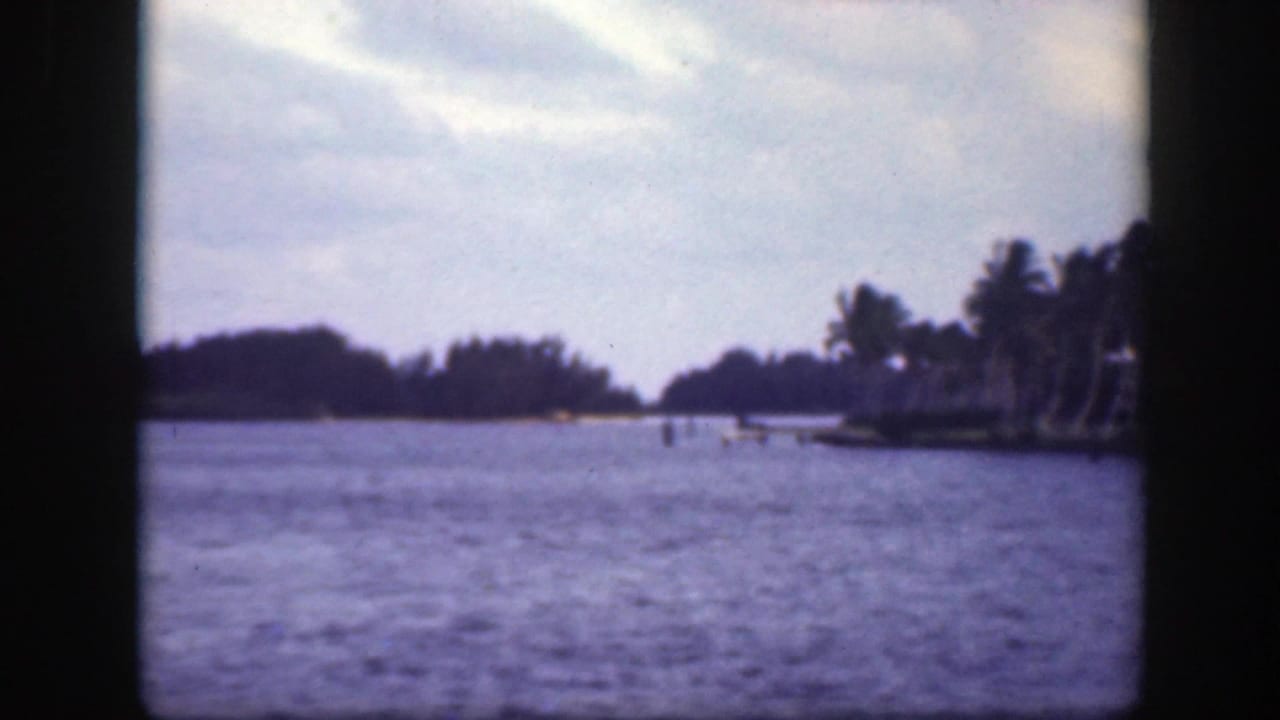 Calm water with low shoreline, trees, and palms under a cloudy sky.