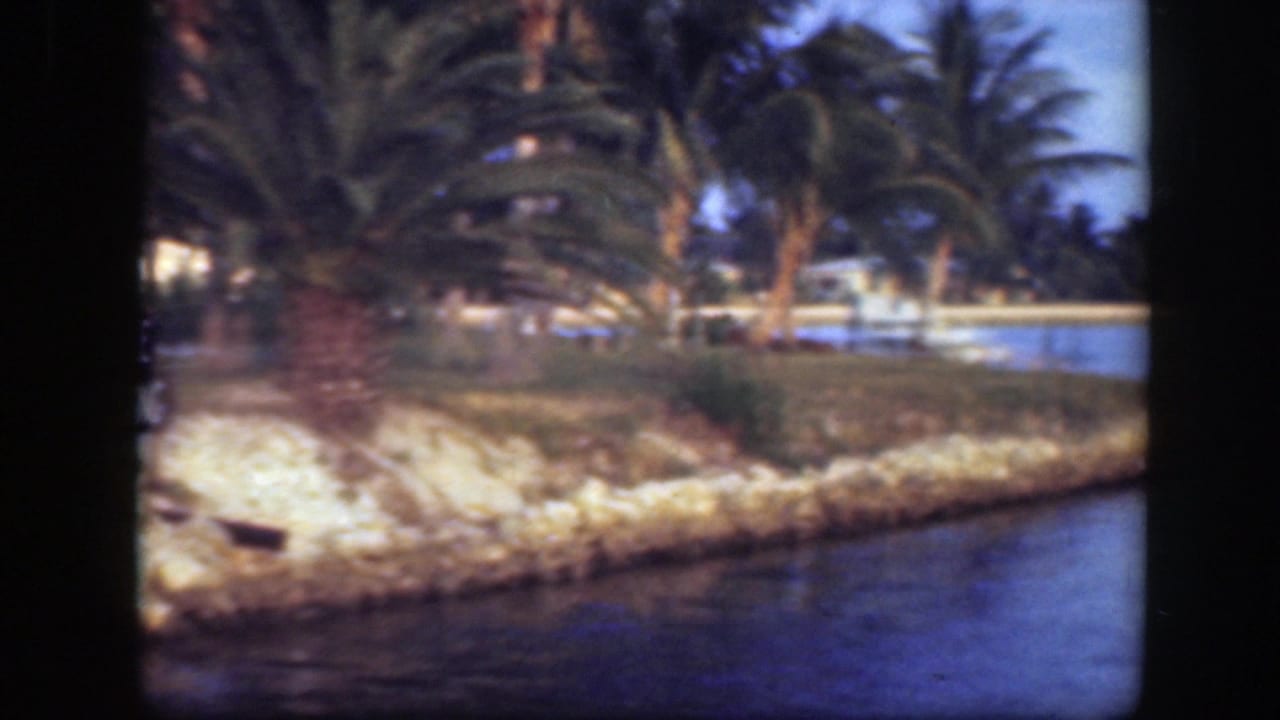 1945 Florida 8mm view of a calm canal bordered by palms, shoreline rocks, grass, and distant waterfront structures.