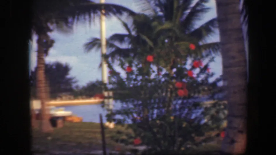Florida 8mm frame showing palms, red flowers, grass, a canal, and a small dock or boat edge in a tropical garden setting.