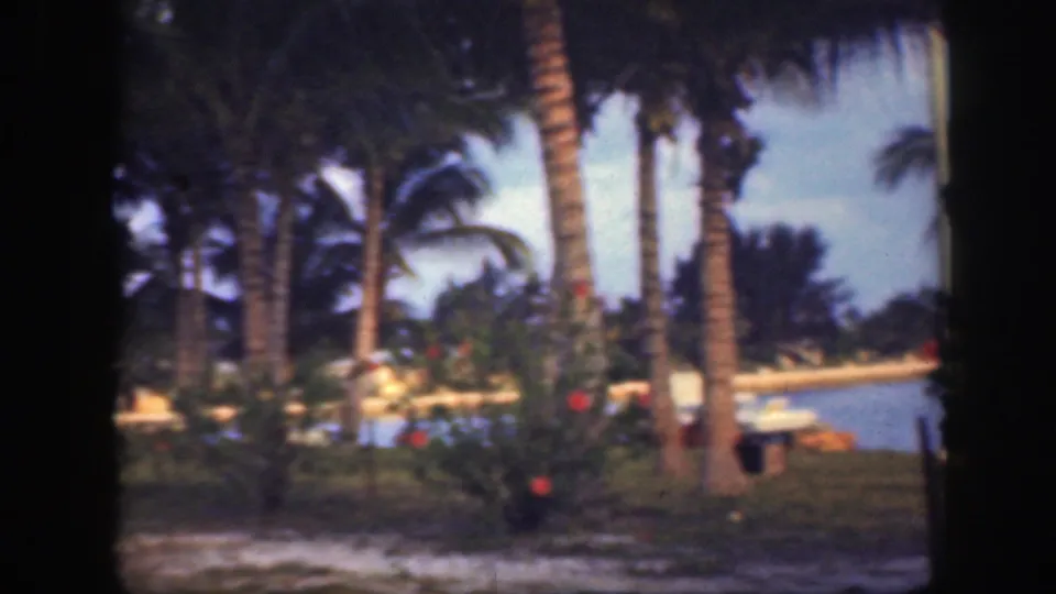 1945 Florida home-movie frame of palm trees and flowering shrubs along a quiet waterfront with distant residential scenery.
