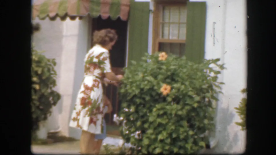A woman reaches near a leafy bush with yellow flowers outside a white house with green shutters and a window.