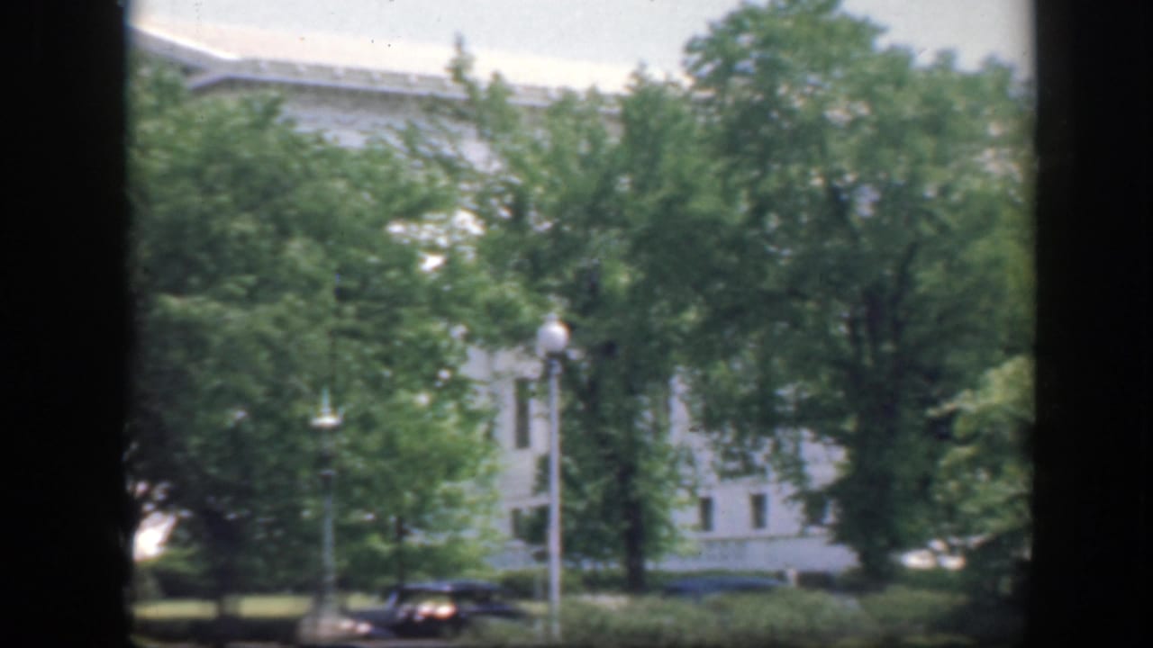 Large white building partly hidden by trees, viewed through dark vertical borders.