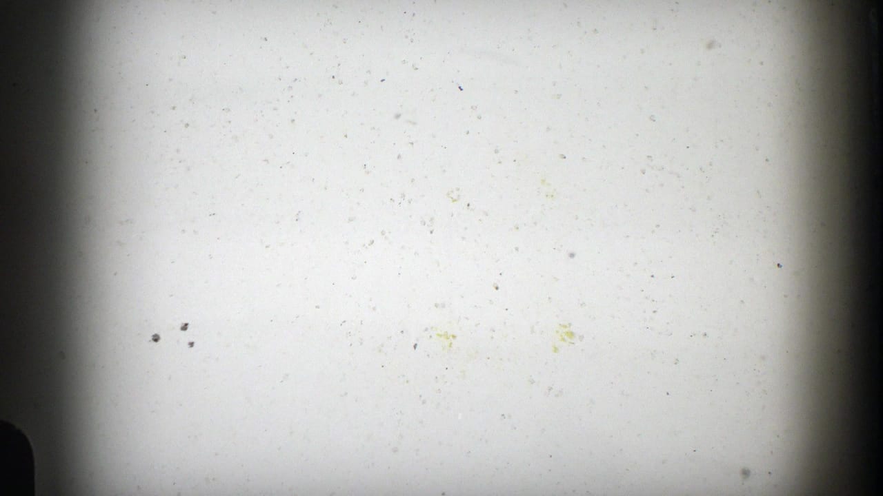 Mostly blank overexposed film frame with dark vertical border and dust specks.