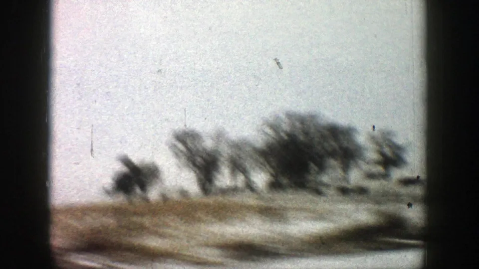Vehicle-window view of blurred leafless trees and snow-dusted roadside land in the Aspen, Colorado area, captured on 8mm film in 1961.
