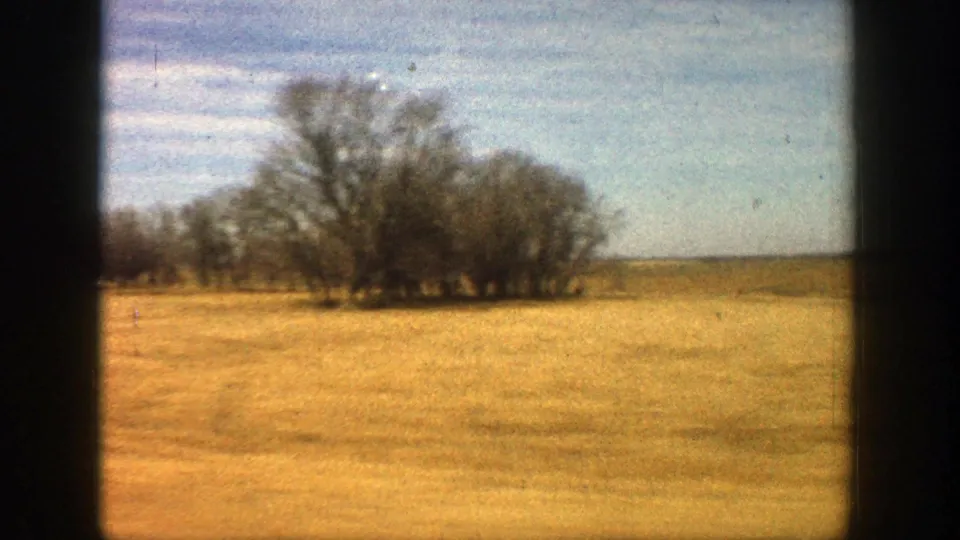 Rural Colorado field seen from a moving vehicle in 1961, with a leafless tree line and open grassland replacing the road view.