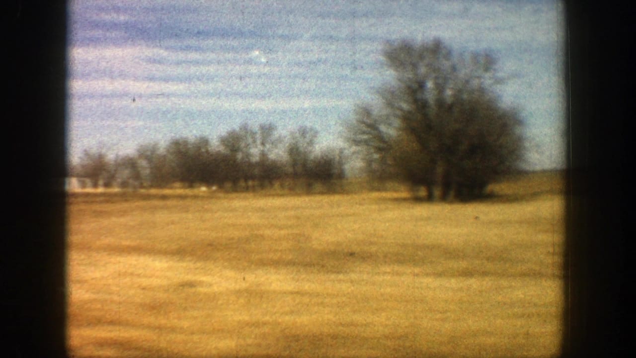 Golden field with leafless trees under a blue sky, seen through dark frame edges.