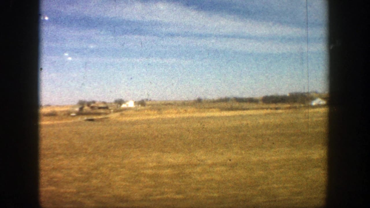 Golden rural field seen from a moving vehicle under a blue sky.