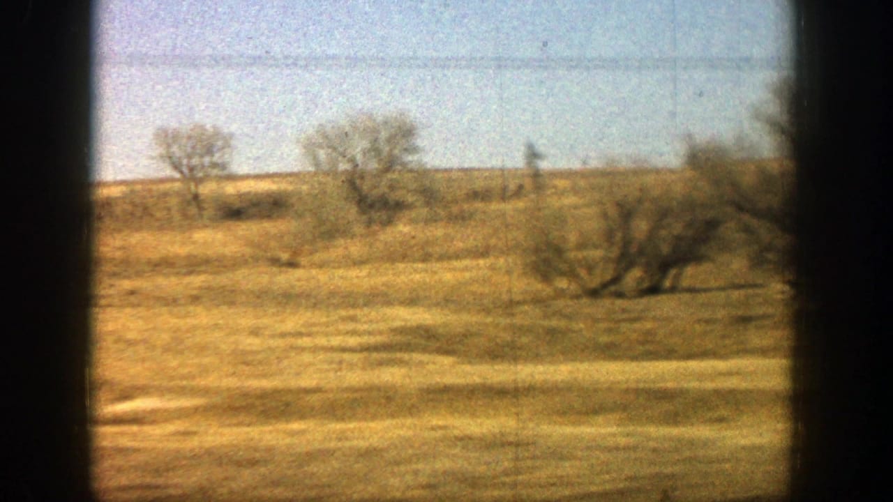 Open golden field with bare trees, low hills, blue sky, and dark window framing.