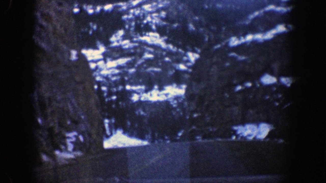 Roadway curving through a snowy mountain pass with trees and rock faces.