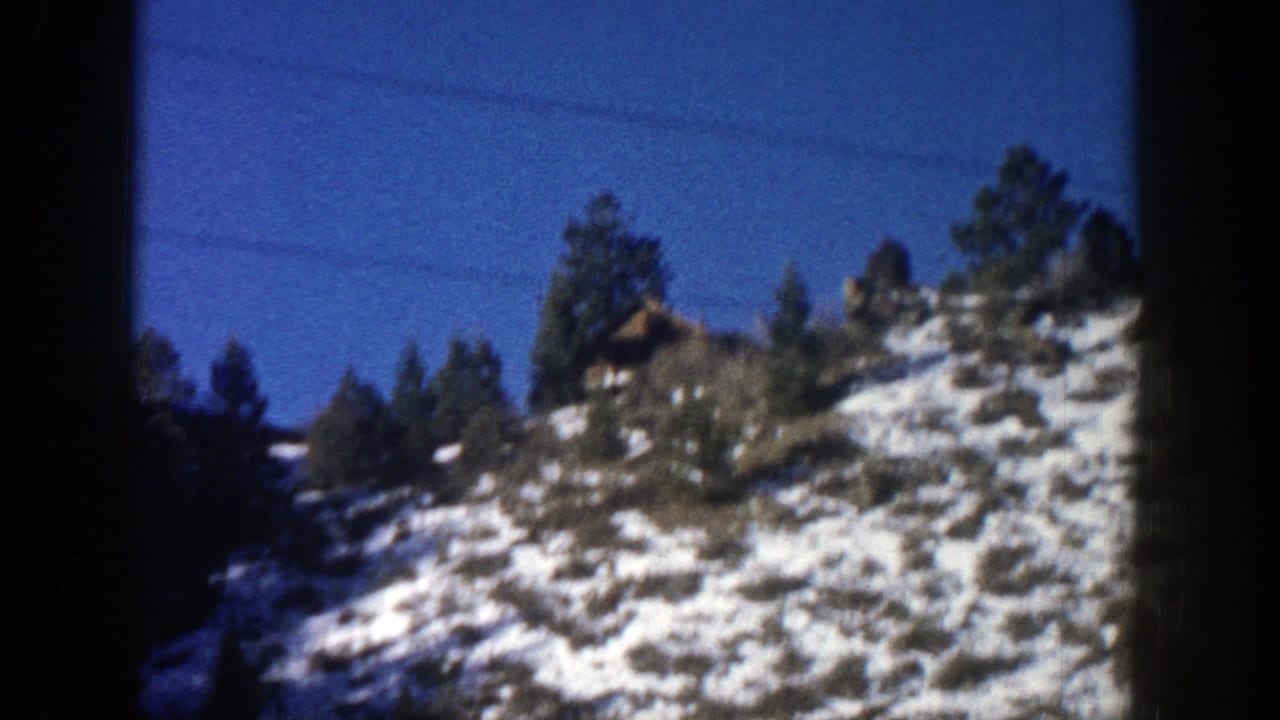 Snowy hillside with evergreen trees seen through a dark vehicle window frame.
