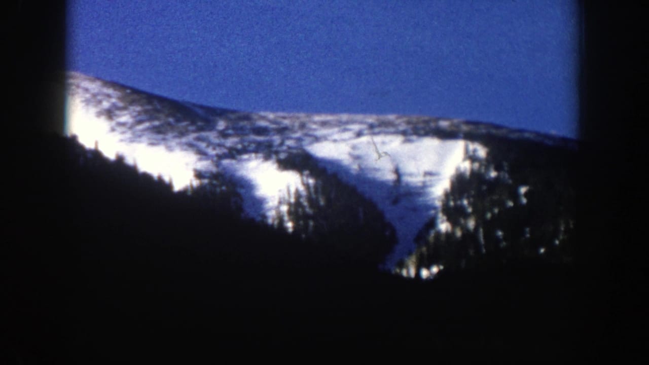Snow-covered mountain ridge above dark evergreen forest under a deep blue sky.