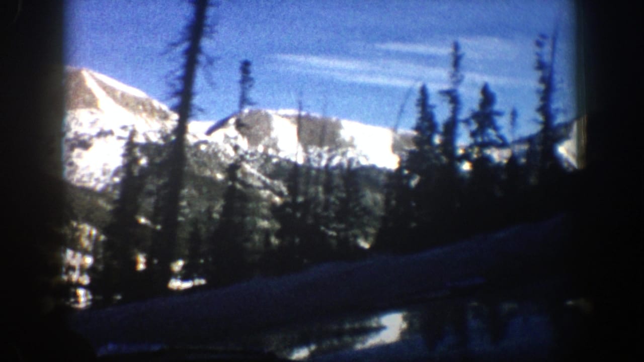 Bright snowy ridge behind evergreen trees, framed by a dark vehicle interior.