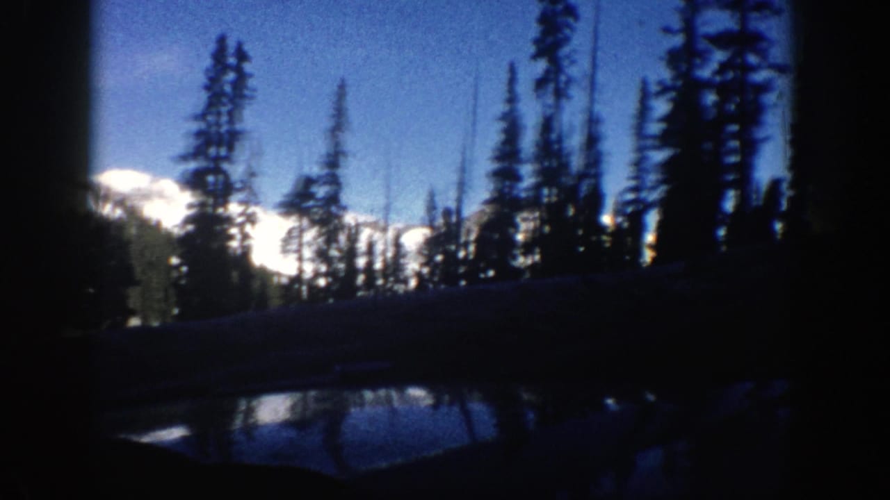 Evergreen silhouettes frame snowy mountain ridges, blue sky, and a dark foreground from inside a vehicle.