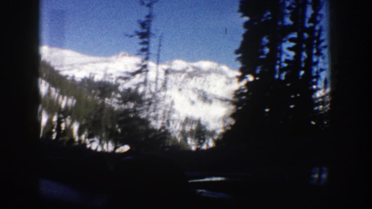 Snow-covered mountain ridges seen past dark pine trees from a shaded roadside view.