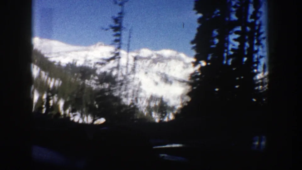 1961 Aspen-area mountain view with snow-covered ridges framed by dark pine trunks and a shaded road foreground.