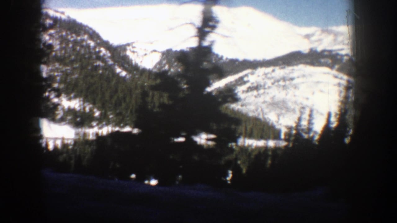 Bright snowy mountain slope and forested hills viewed through dark vertical tree trunks.
