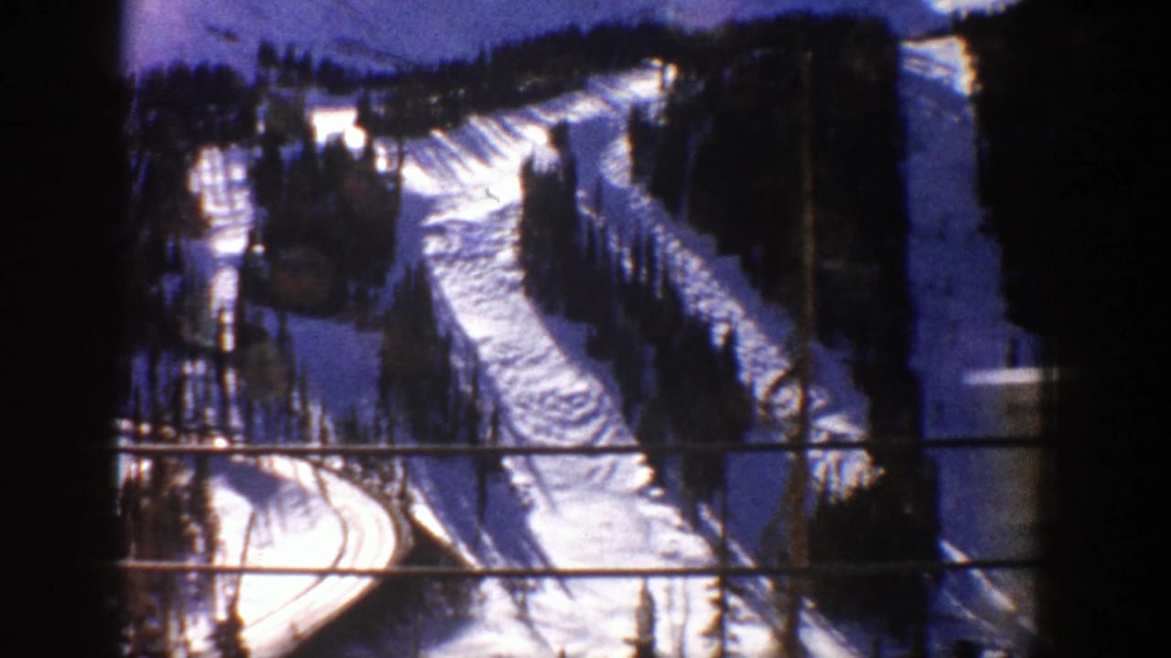 Snowy mountain ski runs winding through evergreen trees.