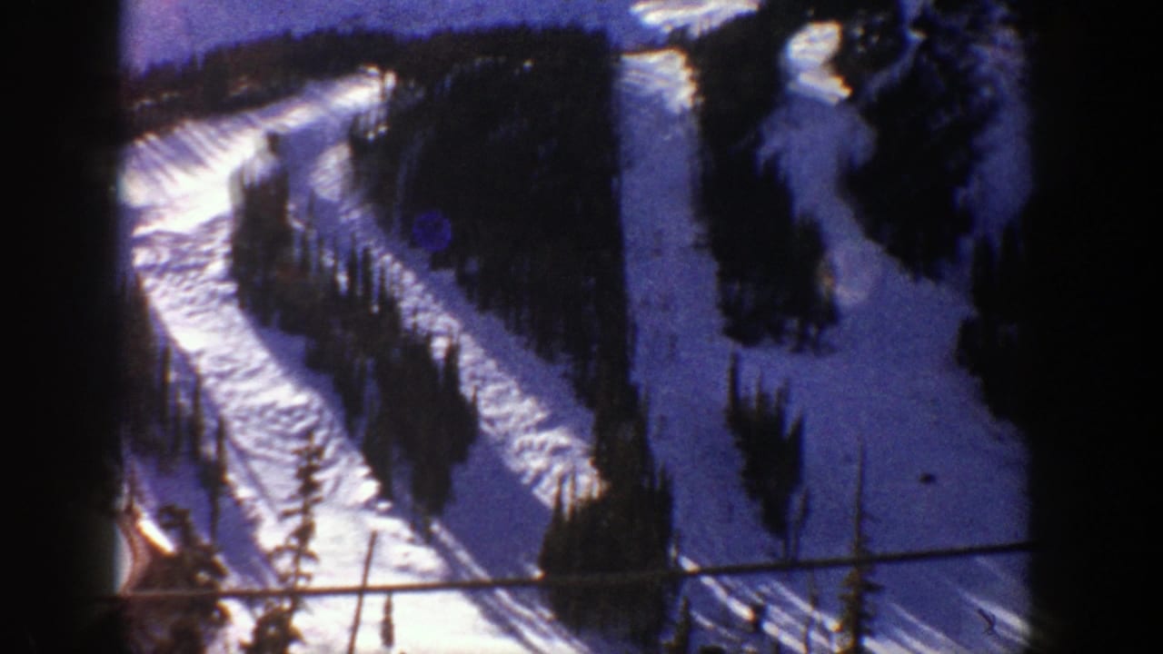 Curving snow runs and tree lines seen from above.