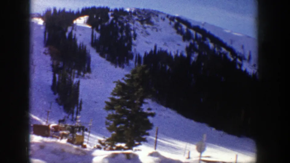 1961 Aspen, Colorado view of a snowy ski slope framed by evergreens, with lift poles or cables and a tree in the foreground.