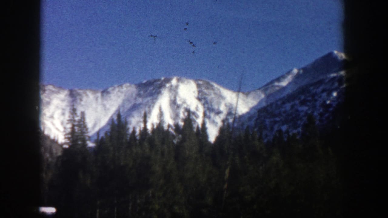 Snow-capped mountain peaks above a dark evergreen forest, seen through dark vertical frame edges.