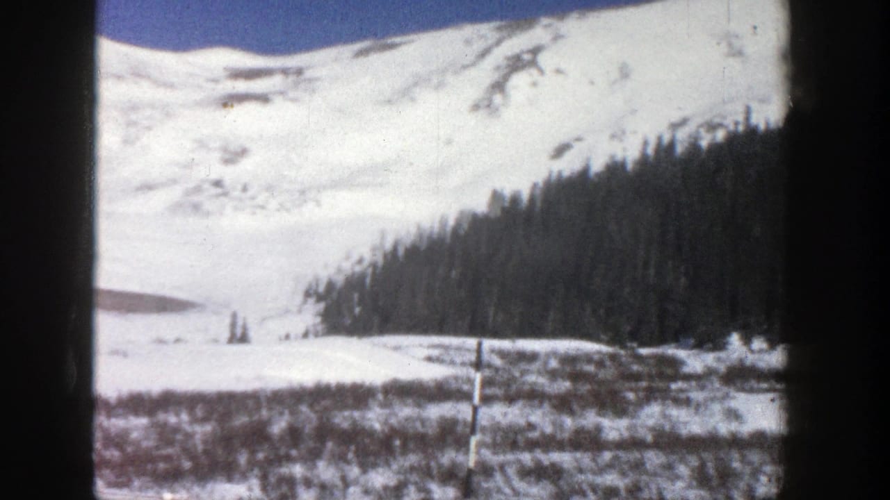 Snowy mountain slope above a dark evergreen stand and open snowfield.