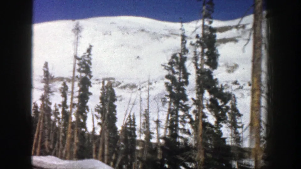 1961 Aspen, Colorado 8mm frame of dark evergreens and leafless trunks set against a broad white mountain slope.