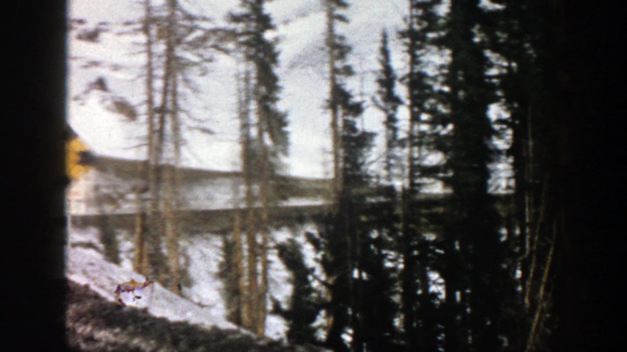 Forest road or roadside curving through snowy trees with a yellow sign partly visible.
