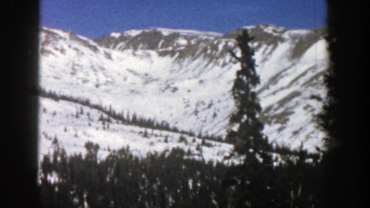 Snow-covered mountain ridge under blue sky with evergreen trees in the foreground.