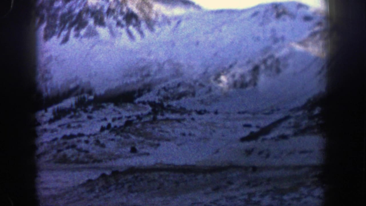 Snowy mountain slope with dark evergreen trees and exposed ridges.