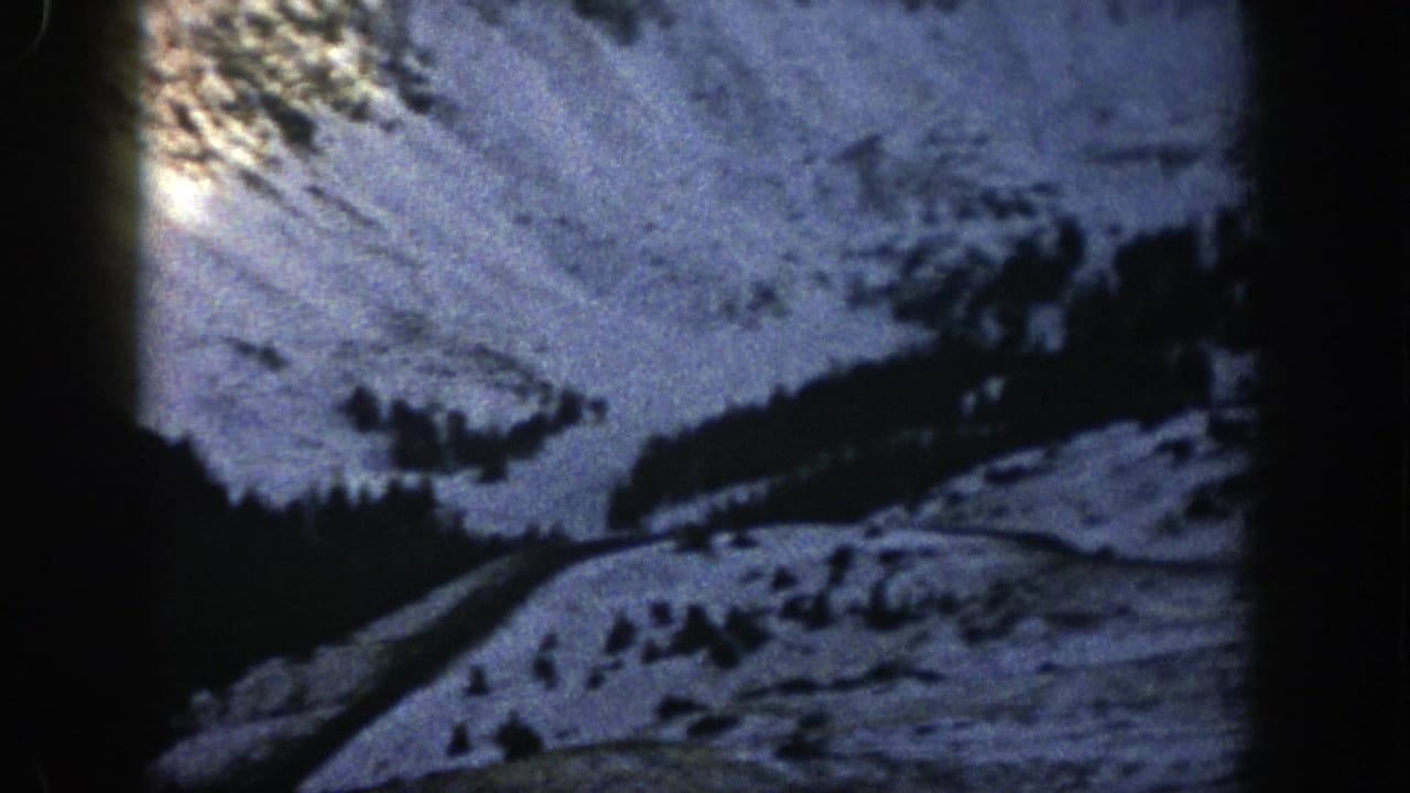 Snowy mountain slope with dark evergreen trees and a shadowed valley.
