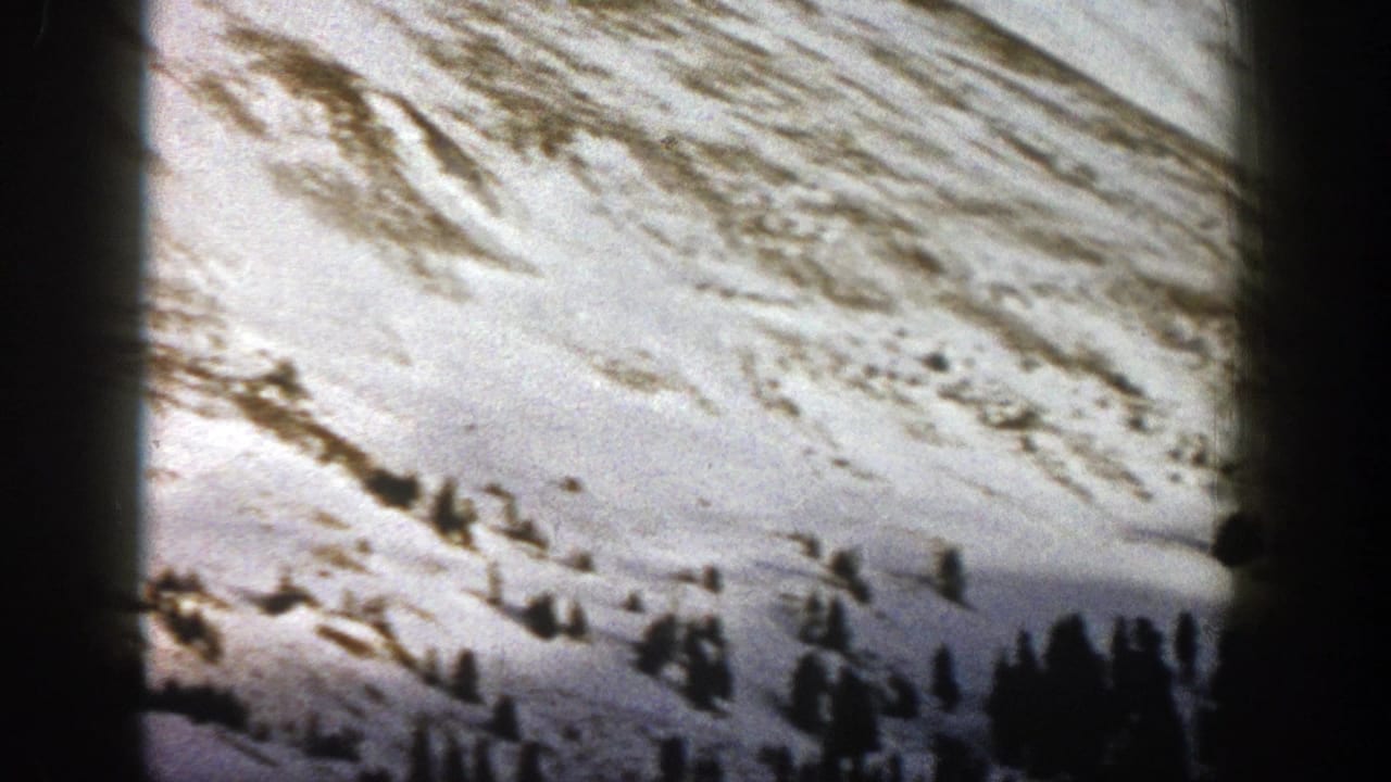 Snowy hillside with sparse trees and wind-shaped brown patches across the slope.