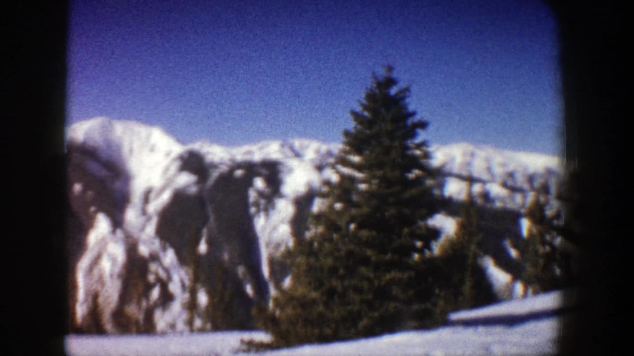 Snowy mountain range with evergreen trees under a deep blue sky.
