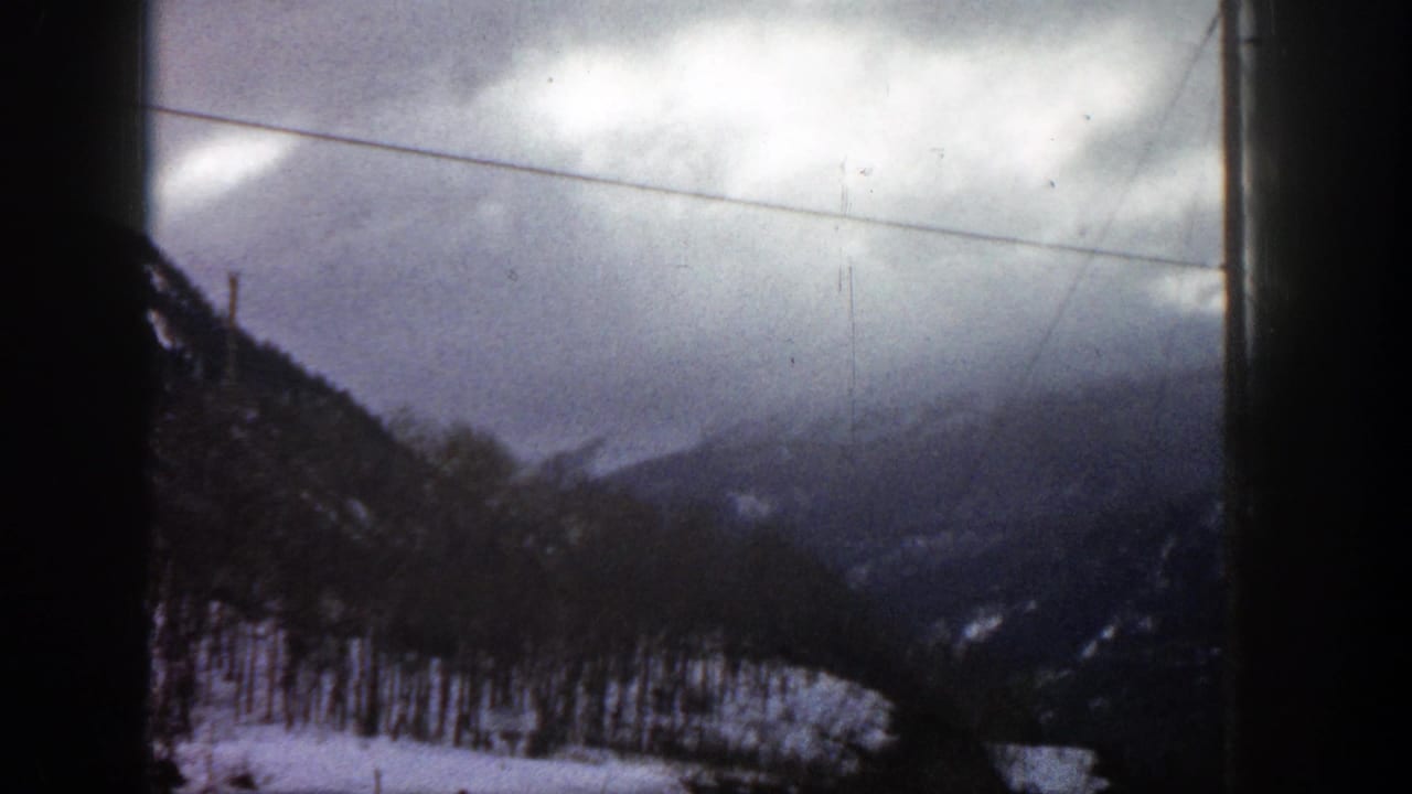 Cloudy snow-covered mountain slope with trees in the foreground.