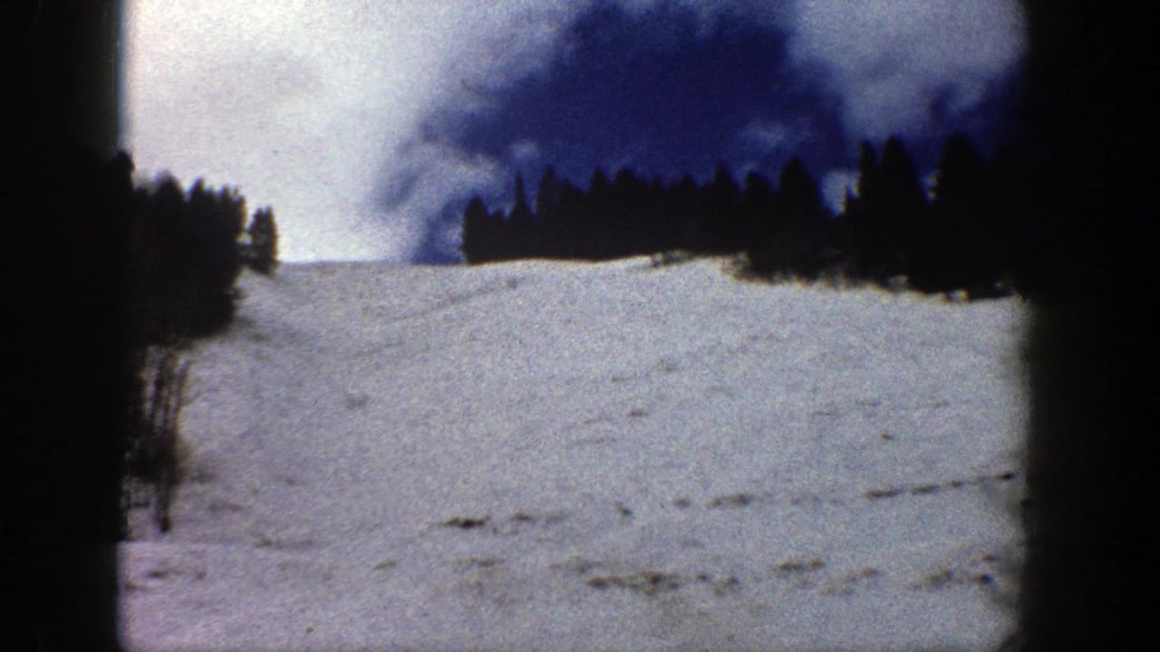 Snow-covered slope below a dark evergreen tree line and blue sky.