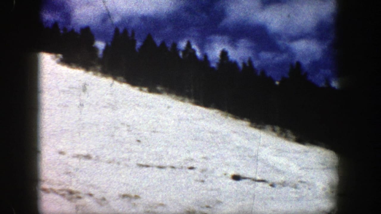 Snow-covered mountain slope below a dark evergreen ridge and blue sky.