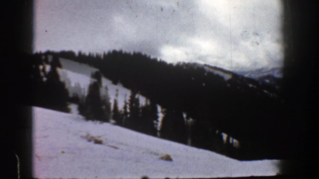 Snowy mountain slope with dark evergreen trees under a cloudy sky.