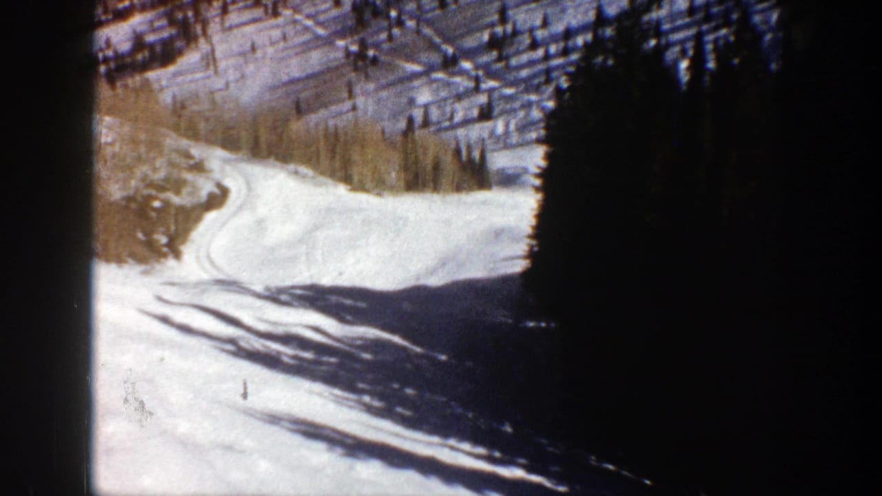 Snowy mountain slope with track marks, evergreen shadows, and pale trees near the valley edge.