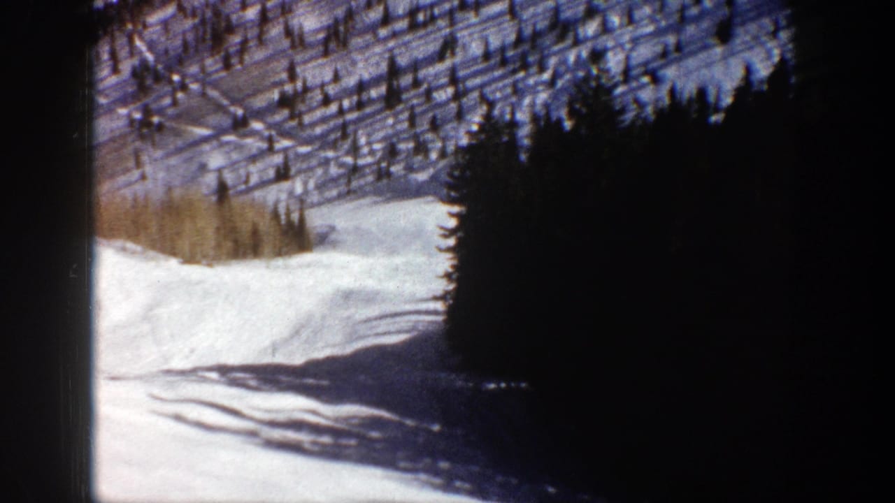 Snowy slope with evergreen trees and shadows under bright winter light.