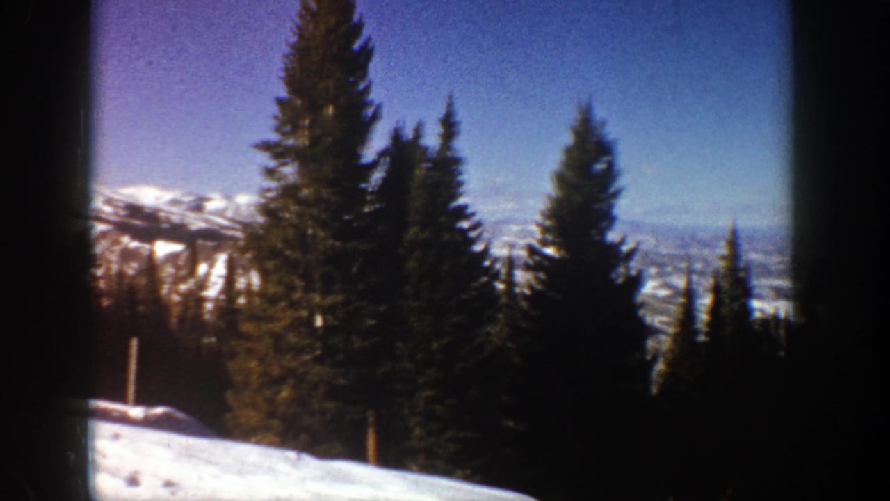 Snowy slope with tall pine trees and distant mountain ridges under a blue sky.
