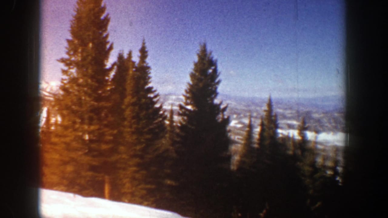 Evergreen trees in front of snow-covered mountains and a bright blue sky.