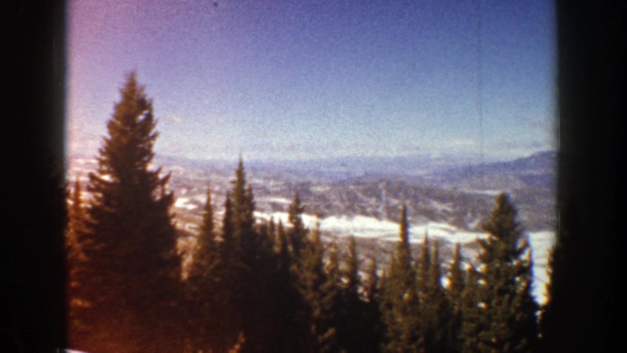 Evergreen trees frame snowy mountain ridges beneath a blue sky.