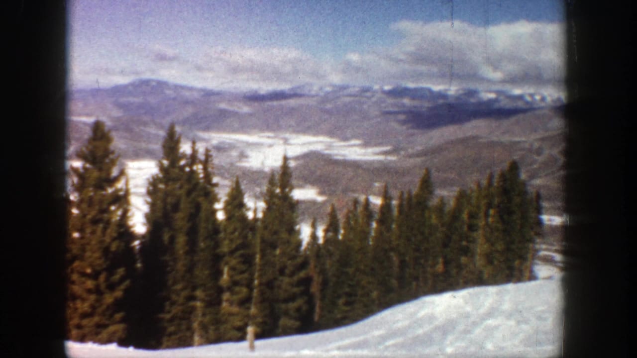 Evergreen forest below a snowy slope with mountains and pale valley fields beyond.