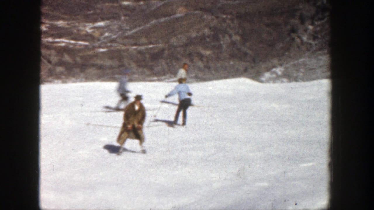 Several adult skiers move across a bright snowy slope, with a brown-coated skier near center.