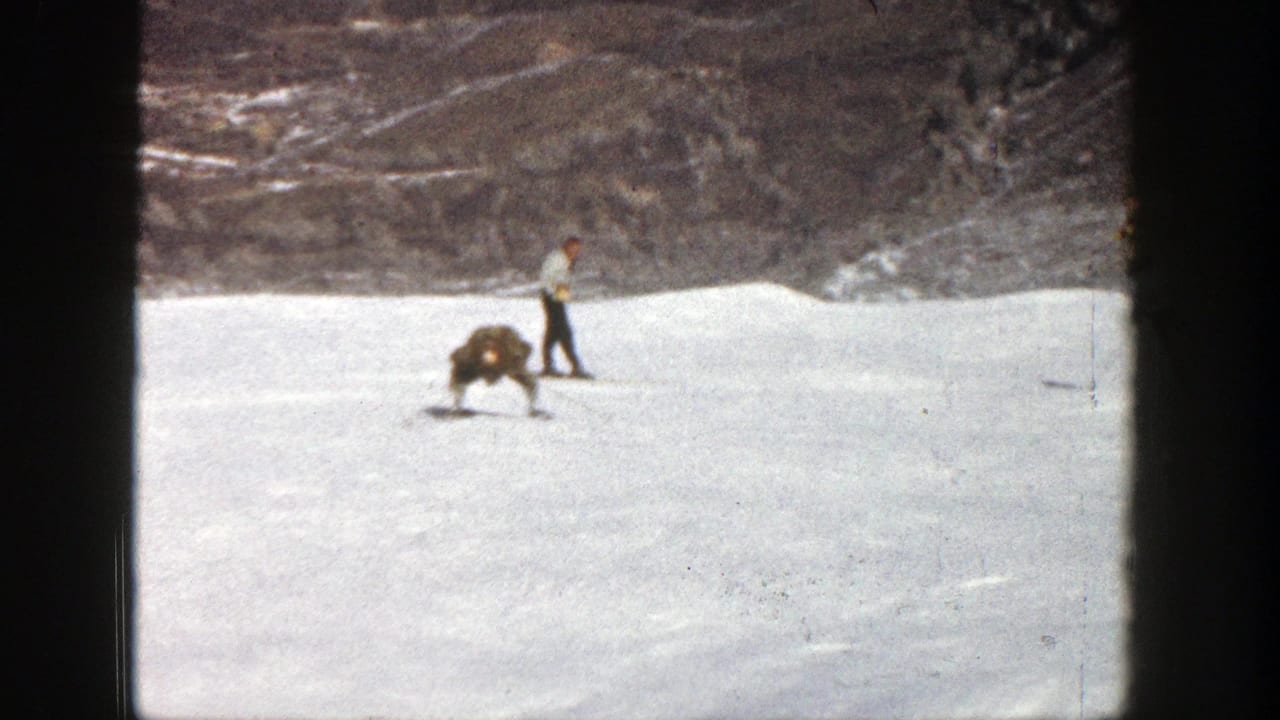 Skier stands on a snowy slope while another person is down on the snow nearby.