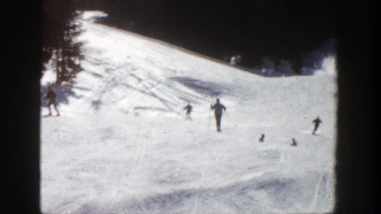 Several small skiers move across a snowy ski hill near a dark tree line.