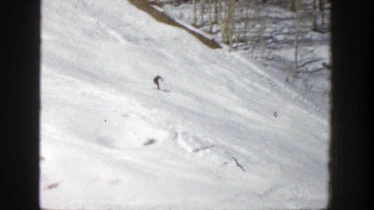 Distant skier descending a snowy slope near bare trees.