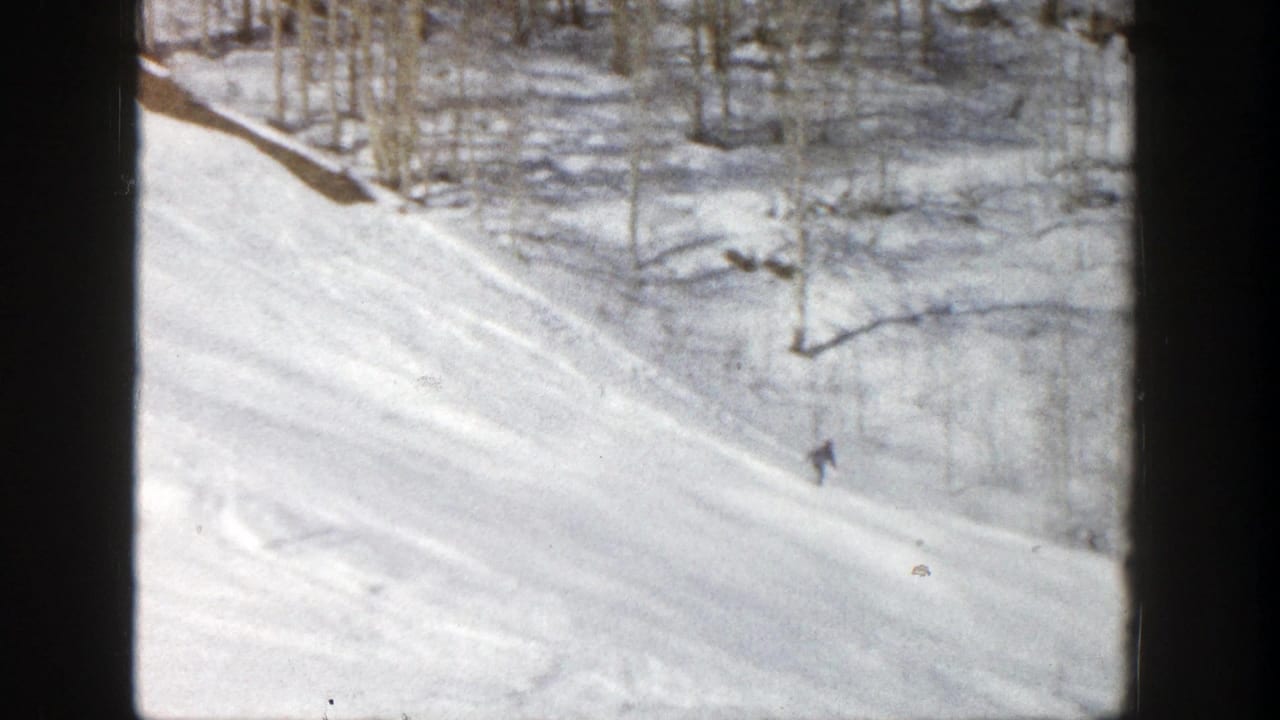 Snowy ski slope with distant skiers and bare trees seen through dark vertical supports.