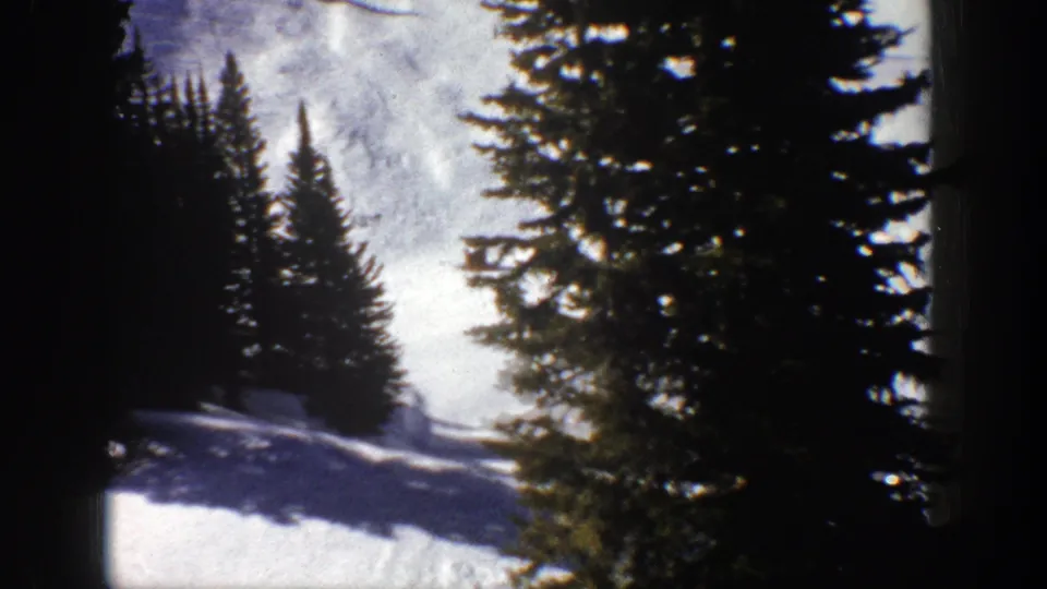 1961 Aspen home-movie view of a snowy slope with tall evergreen trees and distant mountain terrain in winter light.