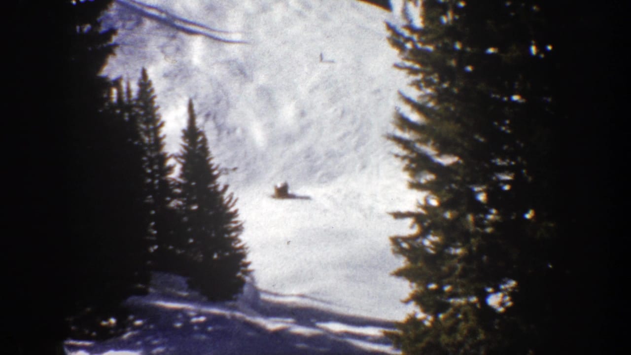 Snowy slope framed by dark evergreen trees with a small skier in the distance.