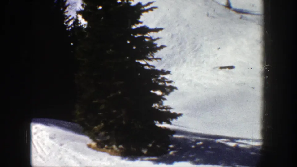 Aspen ski-slope view from 1961 with tall evergreens in the foreground and a distant skier on the snow.